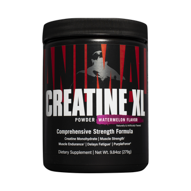 Animal Creatine XL